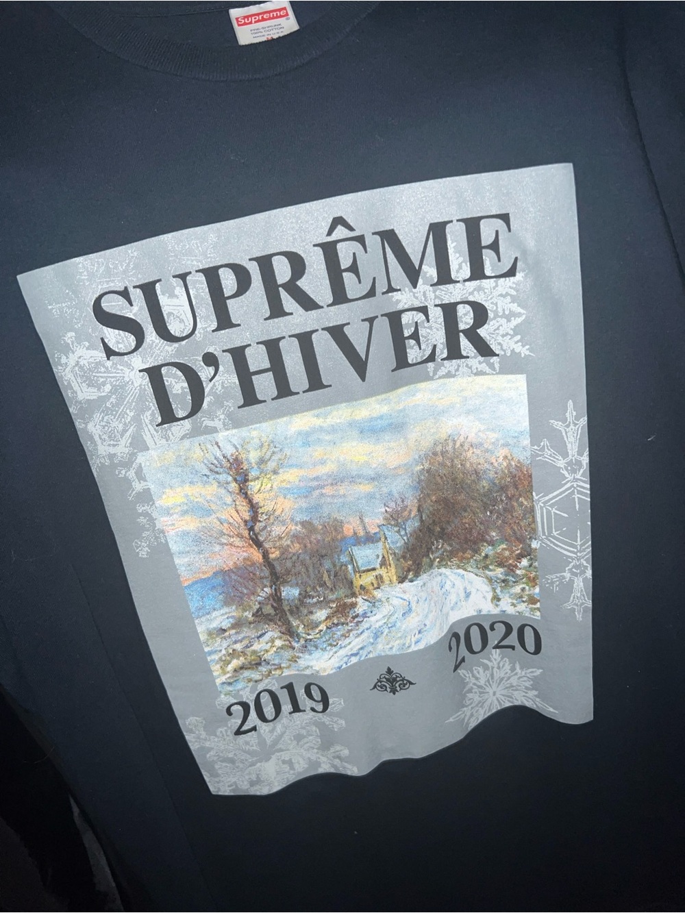 Supreme Dhiver Tee Size Large Brand New 100% Authentic Ships Fast FW23